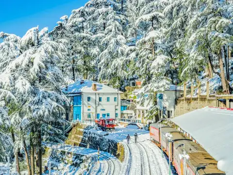 Shimla