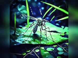 Dengue, A Long-Term Swachh Solution