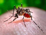 Dengue causing blood pressure, heart rate changes