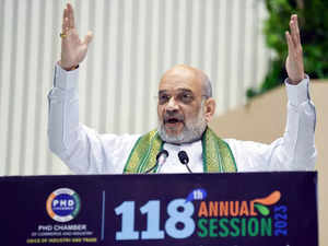 Time to change size and scale of Indian industry: Amit Shah
