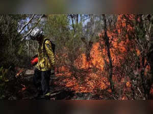 Heatwave fuels bushfire risk in Australia's east