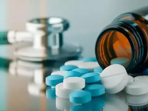 Gujarat Themis Biosyn | New 52-week high: Rs 1049| CMP: Rs 1039.6