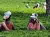 Expect prices of tea to remain firm going forward: McLeod Russel