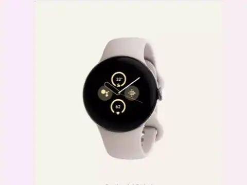 Pixel Watch 2
