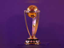 As ICC Cricket World Cup begins, stock pickers glued to new investing mantra