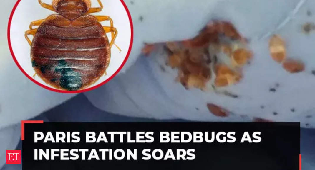 Paris battles invasion of bedbugs just months ahead of 2024 Olympics