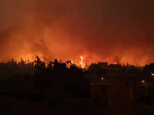Fire burns the forest near houses in La Orotava in Tenerife, Canary Islands, Spa...