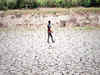 Drought roils crops in 42 lakh hectares in Karnataka worth Rs 30,433 crore