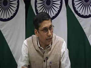 India has raised with US concerns about American diplomat's PoK visit: EAM