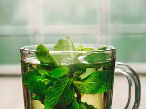 Peppermint