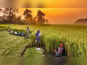 manipur-farmers