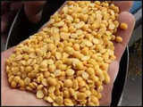 Tur, chana prices fall 4% on rising imports, government actions, fall in demand