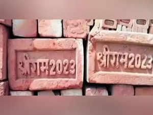 Shri Ram Janmabhoomi temple to be built with special bricks