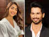 Pooja Hegde to star opposite Shahid Kapoor in new action thriller