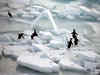 Antarctica's ice shelves reduced by over 40 per cent in volume over 25 years: Study