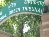 NGT forms panel, seeks report on construction of highway in Himachal floodplains