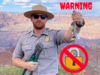 Urgent warning from Grand Canyon to lovers: Stop 'love locks' to safeguard wildlife