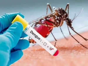 Manipur reels under dengue and outbreak of Africa Swine Fever