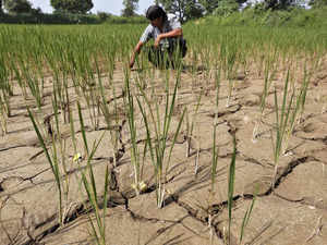 Potential 'Super El Nino' in 2024 and its implications for India's monsoon
