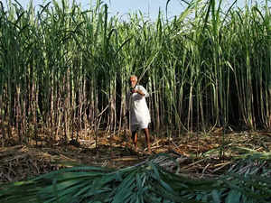 Cane-derived ethanol prices may be hiked to woo investors
