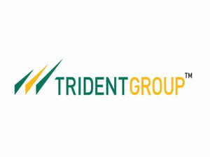 Trident Group faces extensive pan-India income tax raids