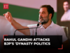 Rahul Gandhi attacks BJP's 'dynasty politics': Last I knew, Amit Shah's son runs Indian cricket