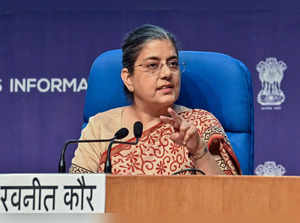 Competition Commission of India Chairperson