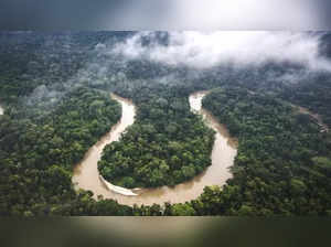 Amazon rainforest rivers down to lowest level in over century, drought hits ecosystem