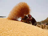 Govt revises down 2022-23 wheat output by 2.19 mn ton to record 110.55 mn ton in final estimate