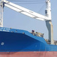 Shreyas Shipping falls over 8% as delisting move fails