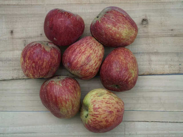 Shimla Apple