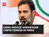 If voted to power, Congress would undertake caste census in India, including Telangana: Rahul Gandhi