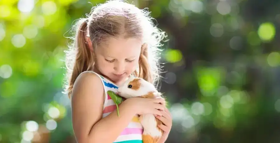 Popular pets to bring home other than cats and dogs - Vimarsana News