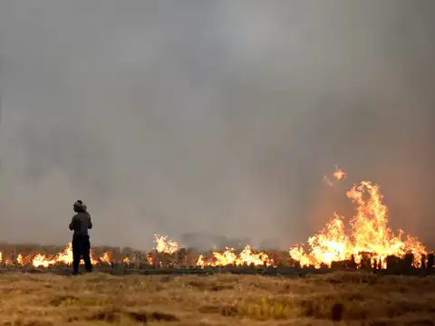 ​Future Air Quality​