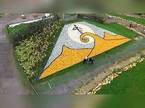 Guinness World Record: Tim Burton-inspired pumpkin mosaic celebrates 30th anniversary of 'The Nightmare Before Christmas'
