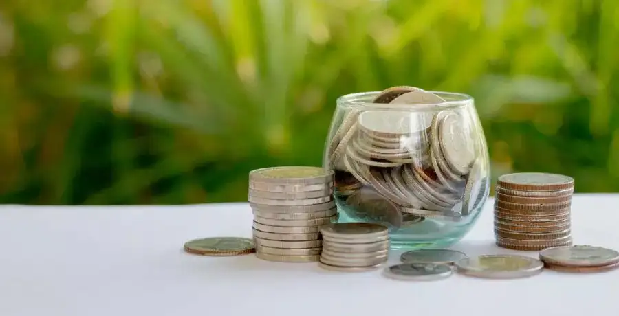 ​These two mutual fund categories offered over 20% in 2023 - Vimarsana News