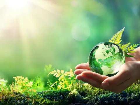 What is Green Deposit