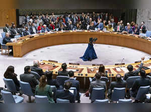UN Israel Palestinians Security Council