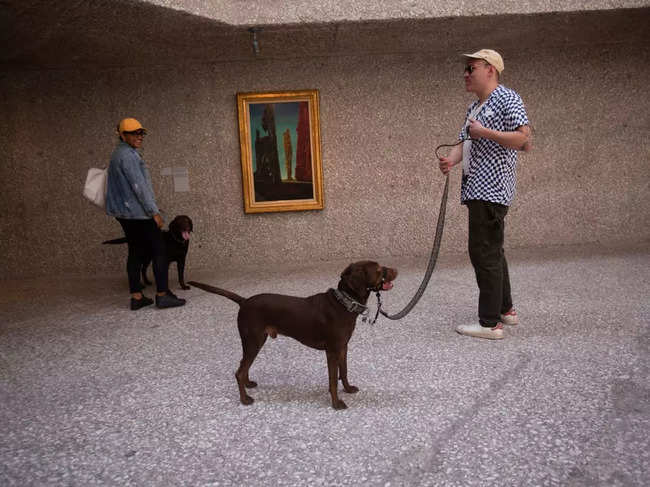 Visitors appreciate the opportunity to enjoy art while spending time with their dogs and hope for more similar experiences in the future.