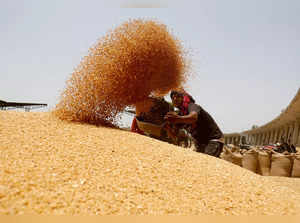 FILE PHOTO: Indian wheat prices hit 8-month high as festive demand outpaces supply