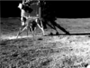 Vikram lander raised lot of dust during moon landing, created halo