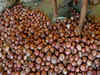 Centre imposes minimum export price of $800 per tonne on onions till December 31