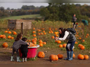 A woman takes a picture at The Pop up Farm, as people pick pumpkins ahead of Halloween, in Flamstead