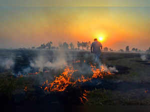 Amritsar: A farmer burns paddy stubble in a field on the outskirts of Amritsar. ...