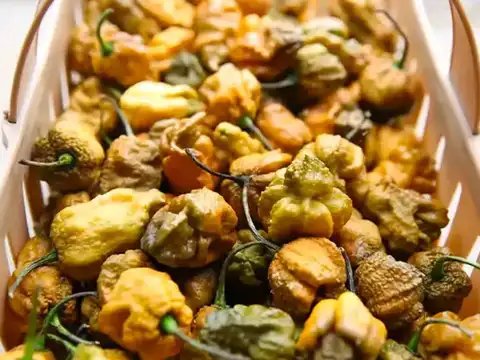 ​The world's hottest chili​