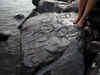 Drought in Amazon leads to discovery of 2,000-yr-old carvings under Negro River