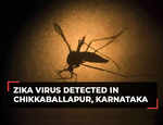 Zika virus alert in Karnataka: Positive case detected in Chikkaballapur