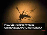 Zika virus alert in Karnataka: Positive case detected in Chikkaballapur