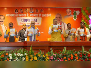 Raipur: Union Minister and BJP leader Amit Shah along with Chhattisgarh BJP Pres...