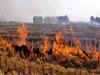 Haryana minister slams Punjab govt over stubble burning; AAP hits back